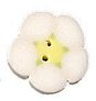 Tiny White Flower